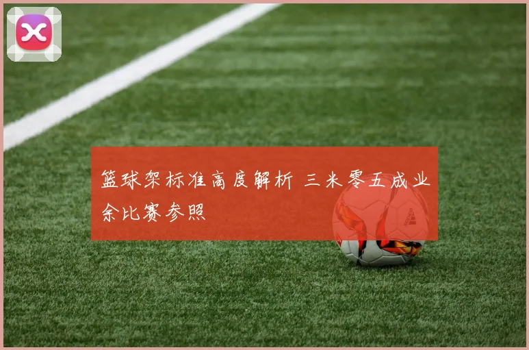 篮球架标准高度解析 三米零五成业余比赛参照